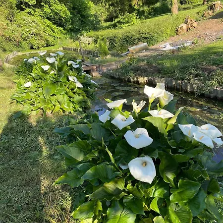 Vakantiehuis Havre De Paix *