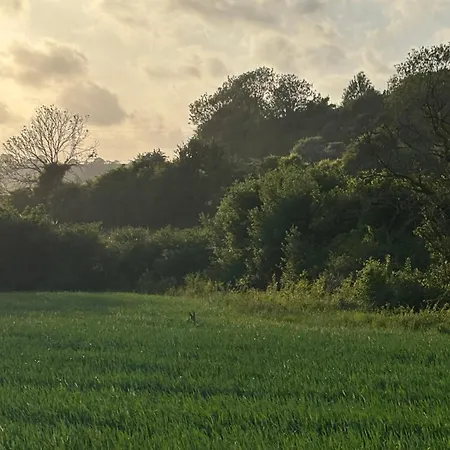 Tatil Evi Havre De Paix Hermelinghen