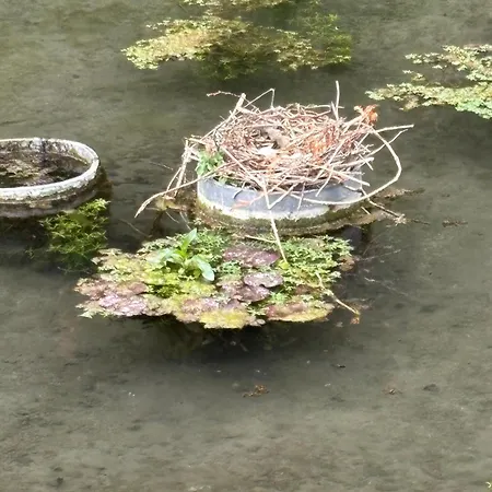 Havre De Paix Hermelinghen