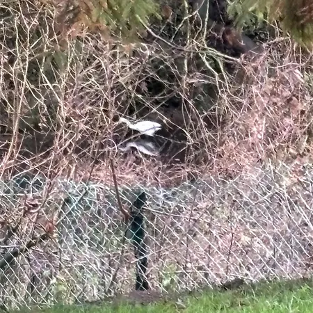 Tatil Evi Havre De Paix Hermelinghen